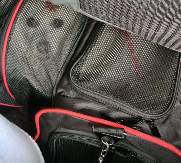 cachorro dentro de caixa de transporte embaixo do banco do avião - Animais em Aviões