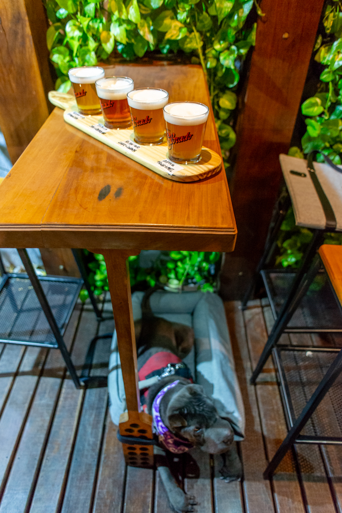 bar pet friendly Pinheiros