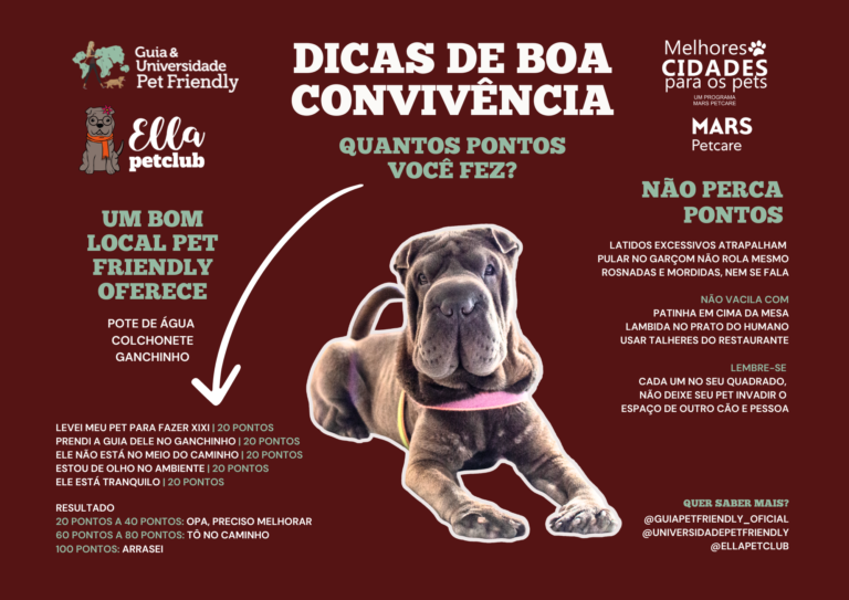 Baixe o jogo-americano