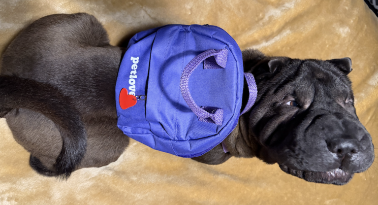 Na mochila do Fe