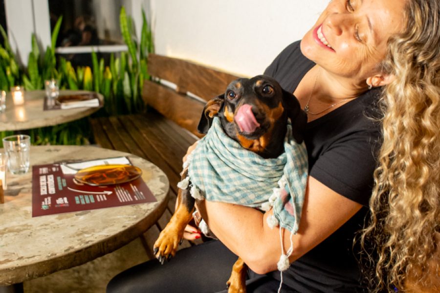 Fitó_GuiaPetFriendly-11