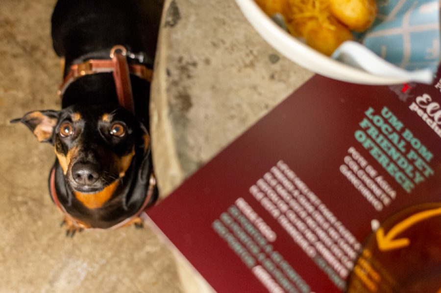 Fitó_GuiaPetFriendly-21