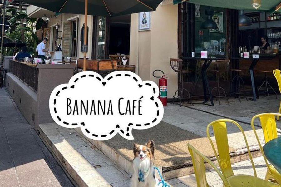 Guia-Pet-Friendly_Banana-Cafe-1