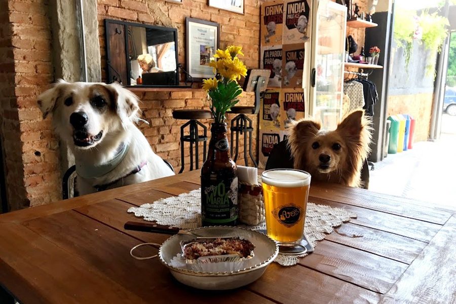 bar-de-cerveja-artesanal-pet-friendly-em-SP