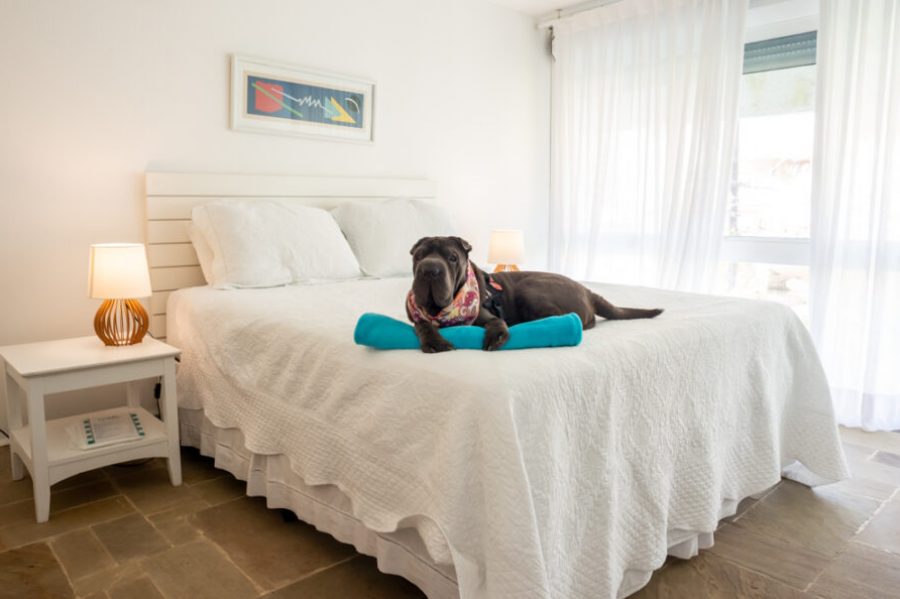guesthouse-guiapetfriendly9-900x594
