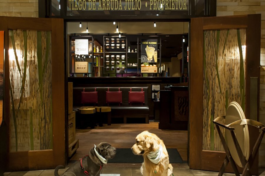 outbackgalleriashopping-guiapetfriendly10